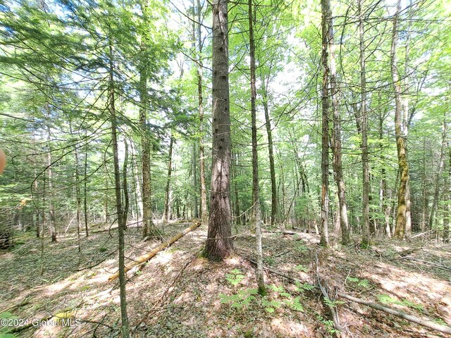 L1.1 Rte 28, Johnsburg, NY 12853 - photo 8
