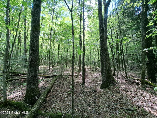 L1.1 Rte 28, Johnsburg, NY 12853 - photo 10