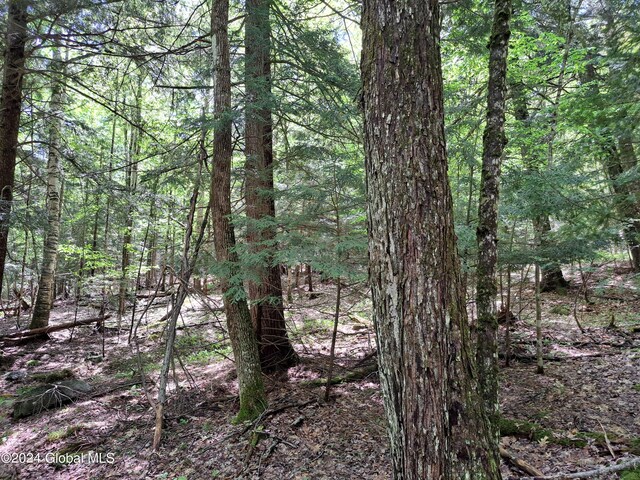 L1.1 Rte 28, Johnsburg, NY 12853 - photo 11