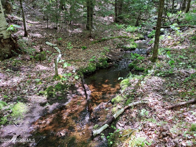 L1.1 Rte 28, Johnsburg, NY 12853 - photo 17