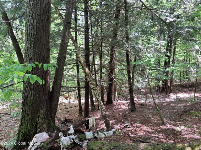 L1.1 Rte 28, Johnsburg, NY 12853 - photo 18