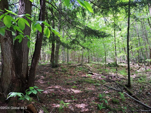 L1.1 Rte 28, Johnsburg, NY 12853 - photo 20