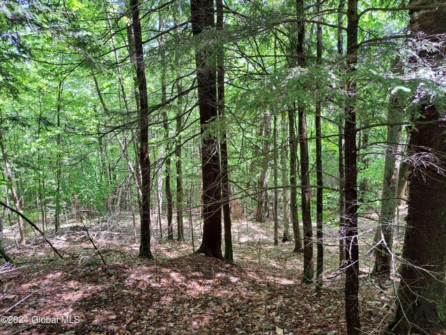 L1.1 Rte 28, Johnsburg, NY 12853 - photo 22