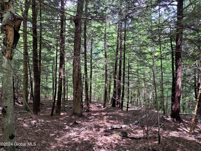 L1.1 Rte 28, Johnsburg, NY 12853 - photo 25