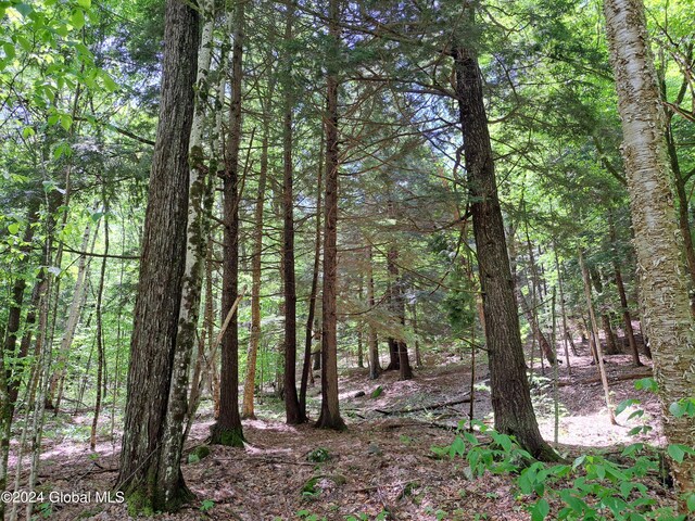 L1.1 Rte 28, Johnsburg, NY 12853 - photo 27