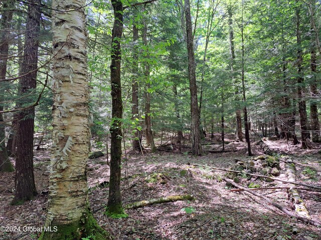 L1.1 Rte 28, Johnsburg, NY 12853 - photo 29