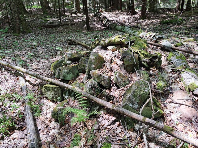 L1.1 Rte 28, Johnsburg, NY 12853 - photo 30