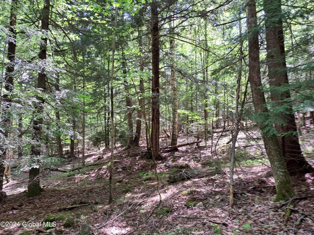 L1.1 Rte 28, Johnsburg, NY 12853 - photo 31