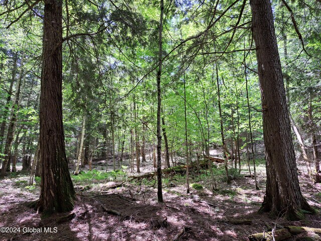 L1.1 Rte 28, Johnsburg, NY 12853 - photo 32