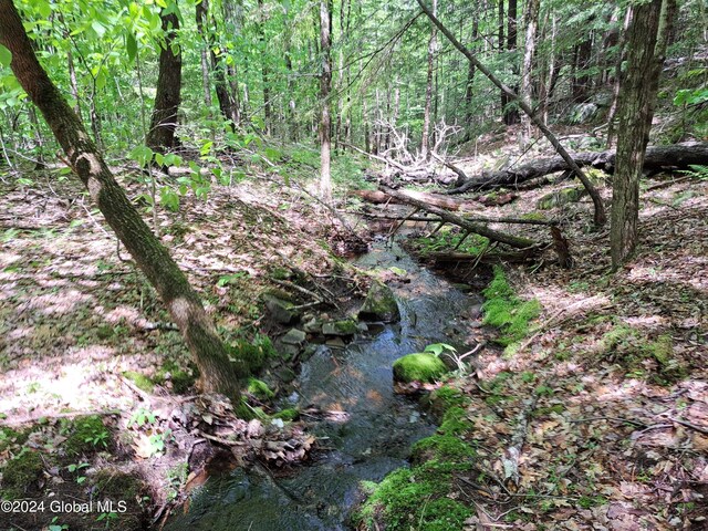 L1.1 Rte 28, Johnsburg, NY 12853 - photo 35