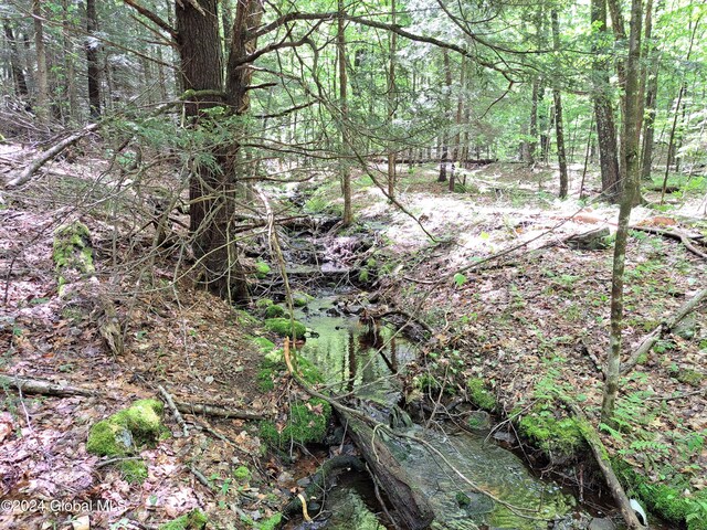 L1.1 Rte 28, Johnsburg, NY 12853 - photo 36