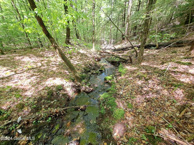 L1.1 Rte 28, Johnsburg, NY 12853 - photo 37