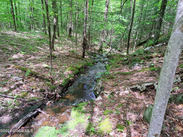 L1.1 Rte 28, Johnsburg, NY 12853 - photo 38