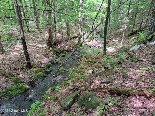 L1.1 Rte 28, Johnsburg, NY 12853 - photo 39
