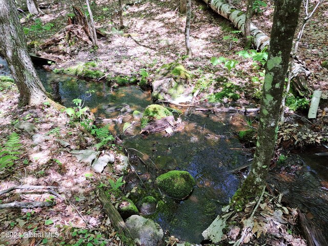 L1.1 Rte 28, Johnsburg, NY 12853 - photo 41