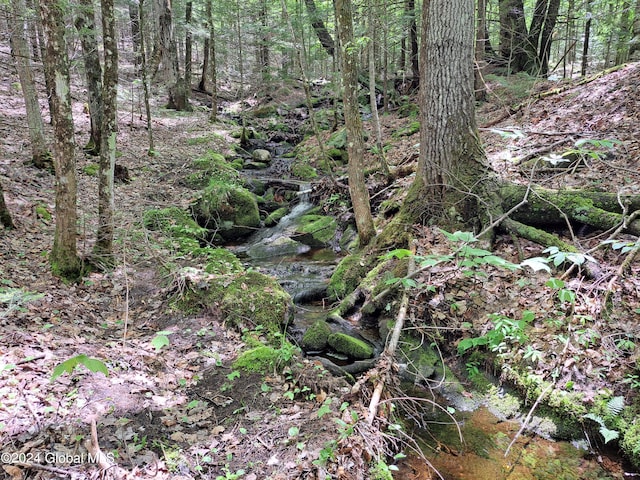 L1.1 Rte 28, Johnsburg, NY 12853 - photo 43