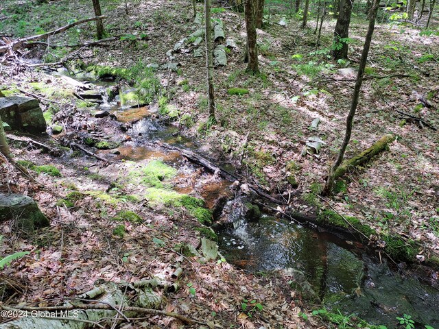 L1.1 Rte 28, Johnsburg, NY 12853 - photo 44