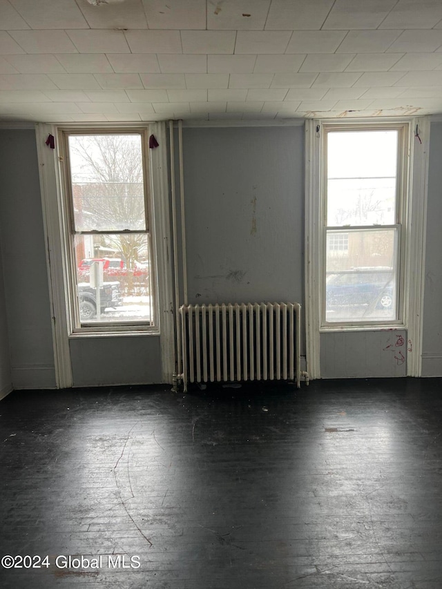 spare room with a healthy amount of sunlight and radiator