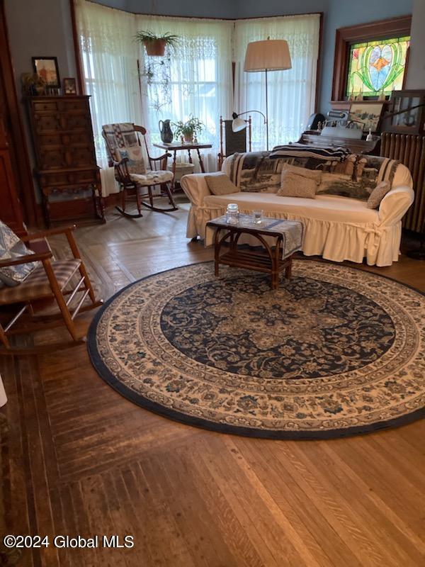 living room with wood-type flooring