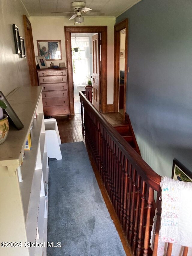 corridor with dark wood-type flooring