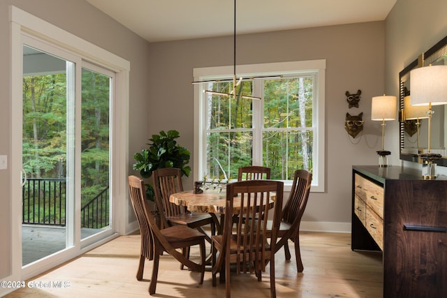 dining area featuring light wood-type flooring and a wealth of natural light