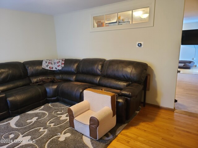 living room featuring light hardwood / wood-style floors