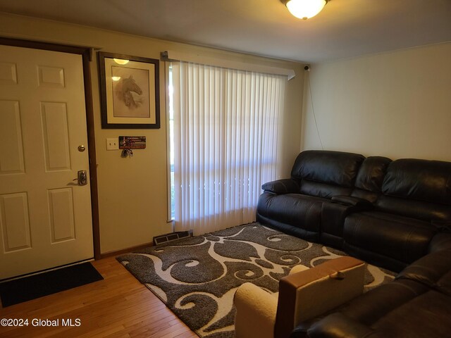 living room with hardwood / wood-style flooring