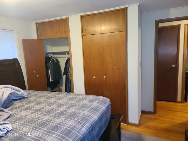 bedroom with crown molding, hardwood / wood-style flooring, and multiple closets