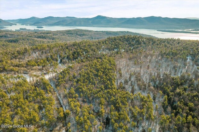 view of mountain feature