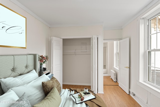 bedroom with multiple windows, radiator, light wood-type flooring, and a closet