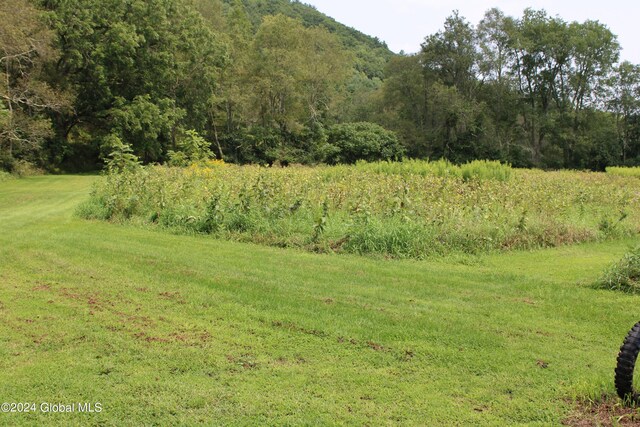 view of local wilderness