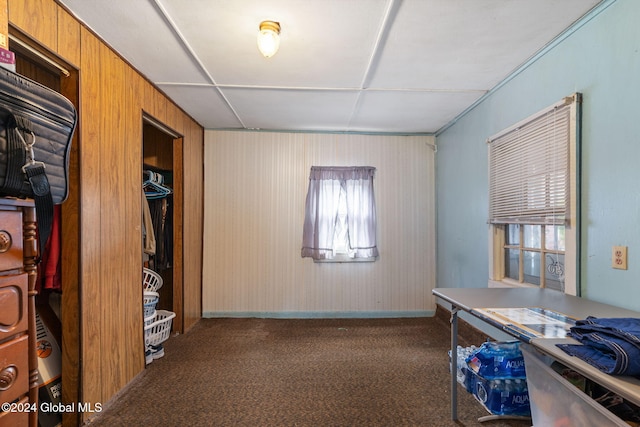 interior space with dark carpet and wood walls