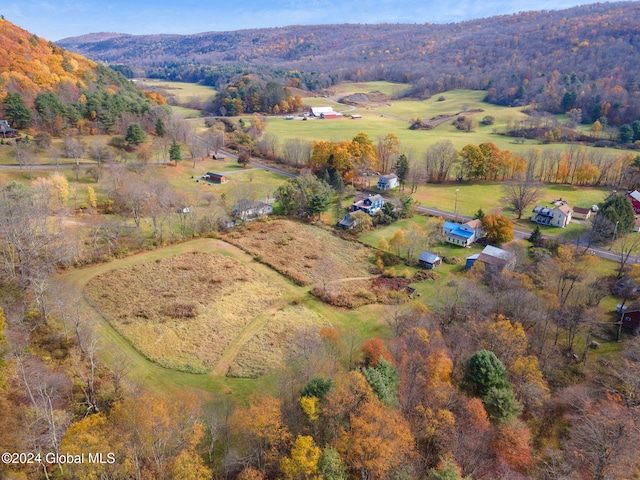 drone / aerial view with a rural view