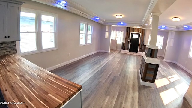 entrance foyer featuring a raised ceiling and dark hardwood / wood-style floors