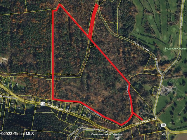 111 Blossom Hill Rd, Coeymans, NY 12143