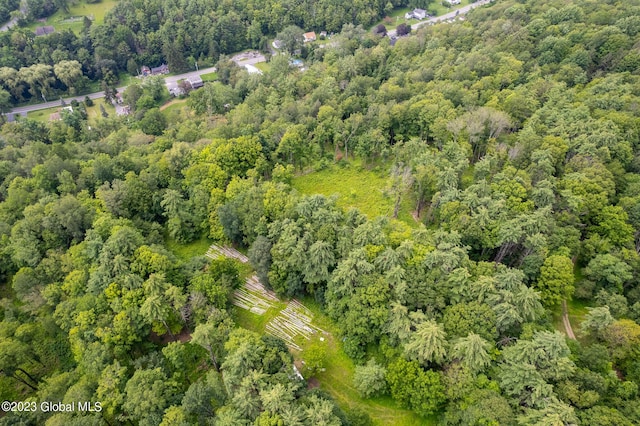 111 Blossom Hill Rd, Coeymans, NY 12143