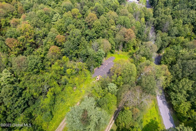 111 Blossom Hill Rd, Coeymans, NY 12143