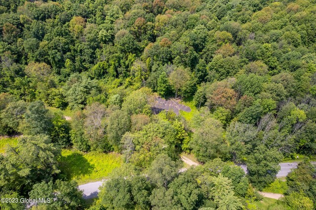 111 Blossom Hill Rd, Coeymans, NY 12143