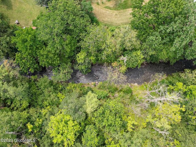 111 Blossom Hill Rd, Coeymans, NY 12143