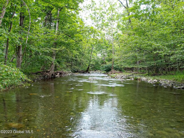 111 Blossom Hill Rd, Coeymans, NY 12143