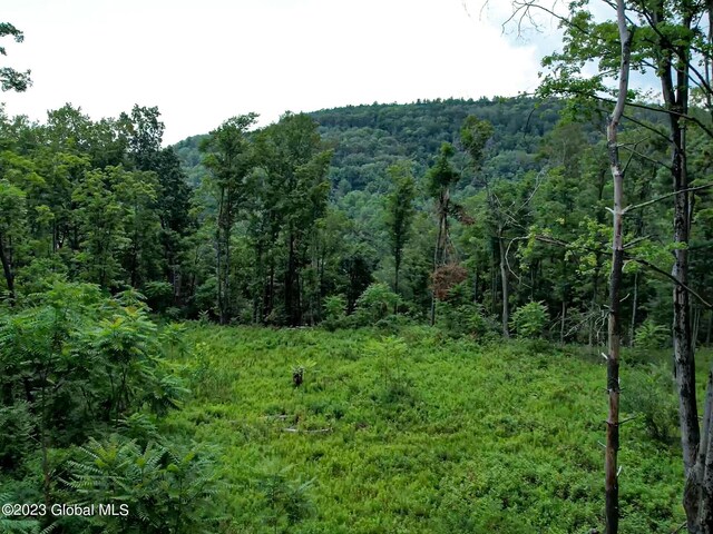 111 Blossom Hill Rd, Coeymans, NY 12143