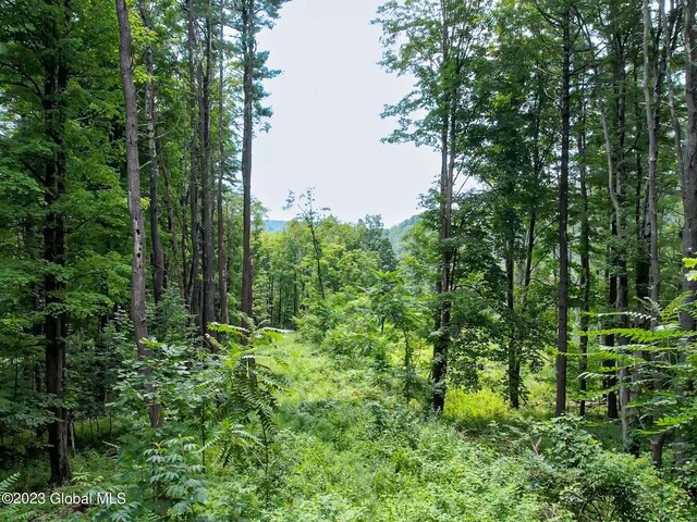 111 Blossom Hill Rd, Coeymans, NY 12143