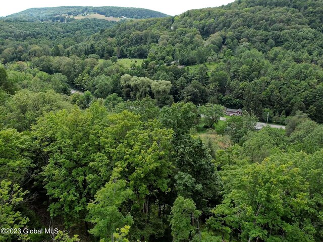 111 Blossom Hill Rd, Coeymans, NY 12143