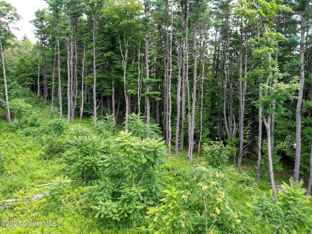 111 Blossom Hill Rd, Coeymans, NY 12143