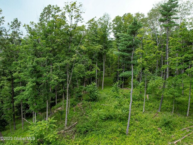 111 Blossom Hill Rd, Coeymans, NY 12143