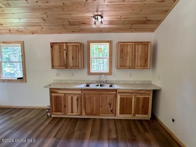 kitchen featuring dark hardwood / wood-style floors, wood ceiling, and sink