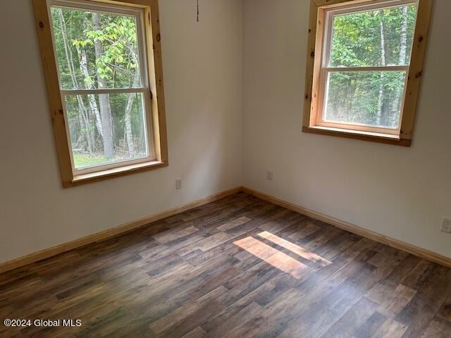 spare room featuring a wealth of natural light and dark hardwood / wood-style flooring