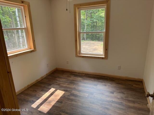 unfurnished room featuring dark wood-type flooring