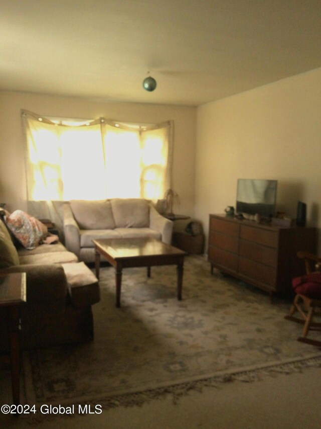 living room featuring carpet floors