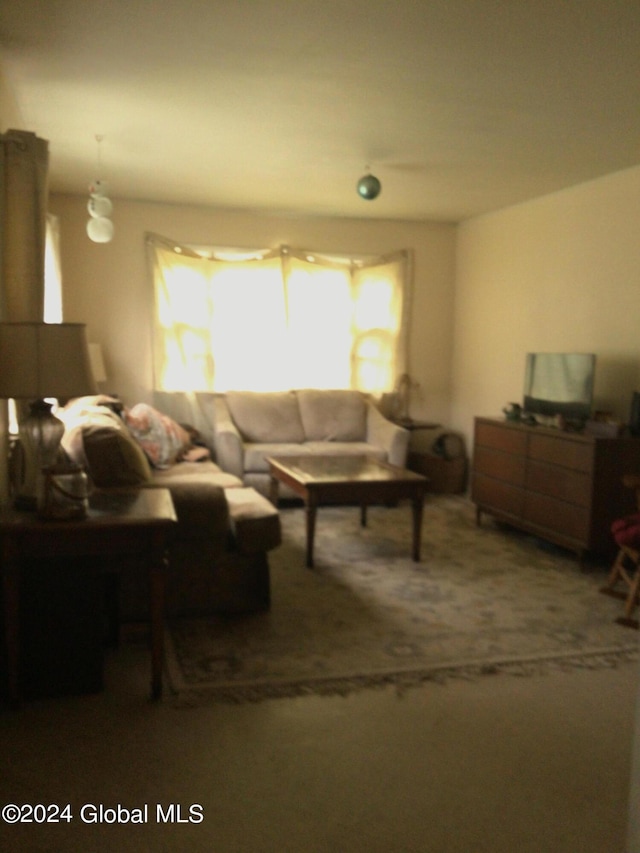 carpeted living room with a wealth of natural light